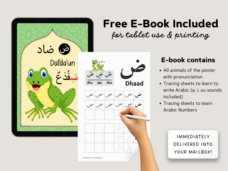 Sticky Arabic Alphabet + Free E-Book & Printables